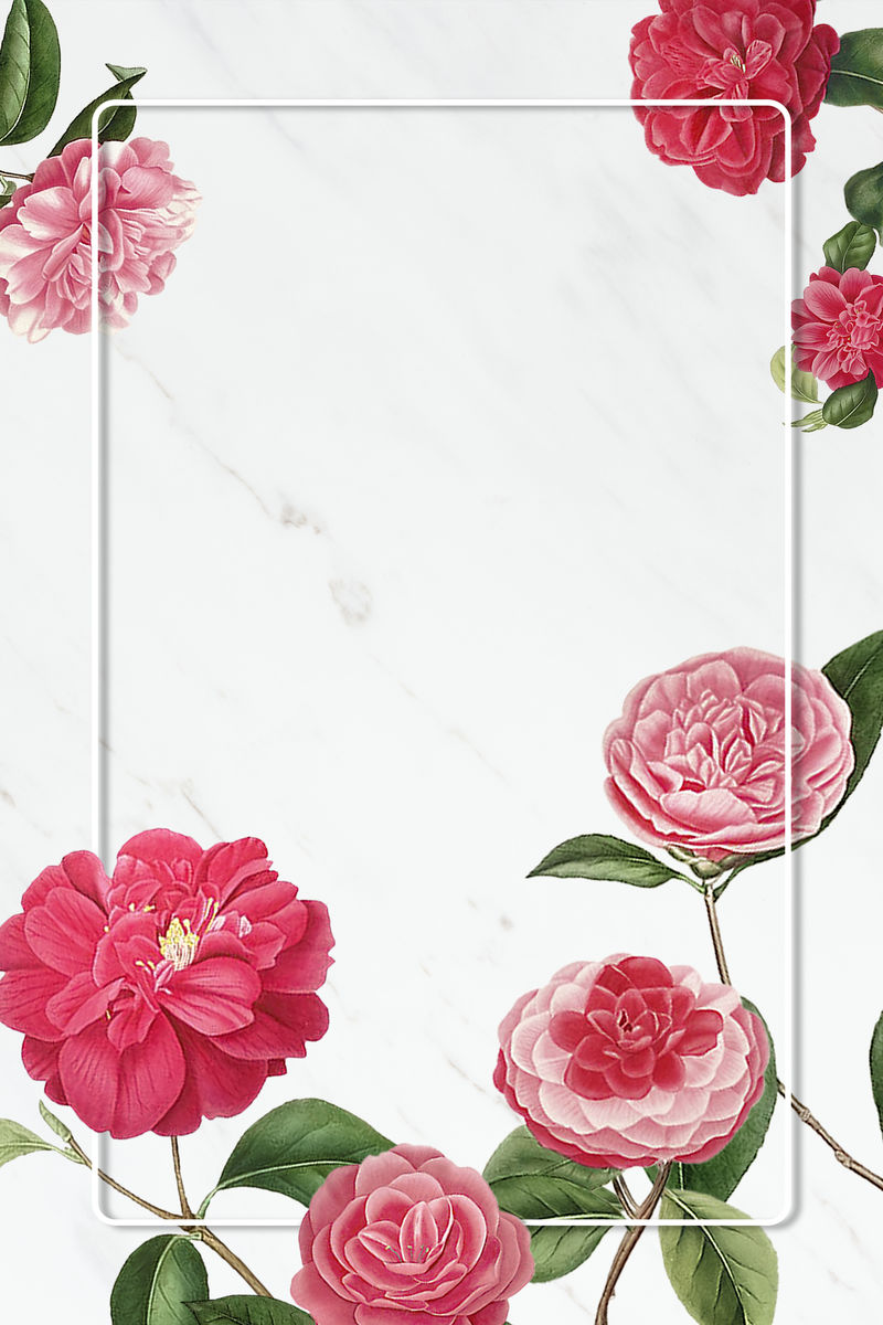 红色和粉色山茶花图案空白框架模型