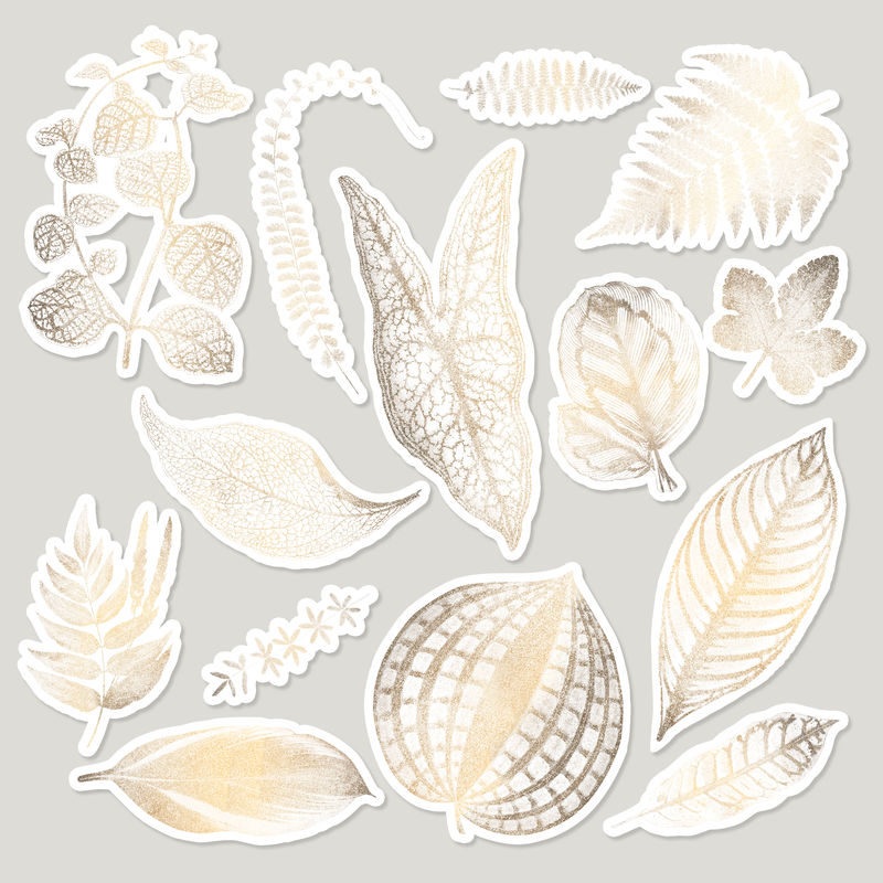 闪金蕨叶贴纸集设计资源