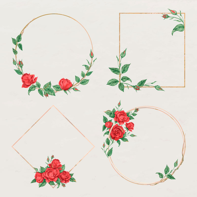金框红玫瑰矢量集