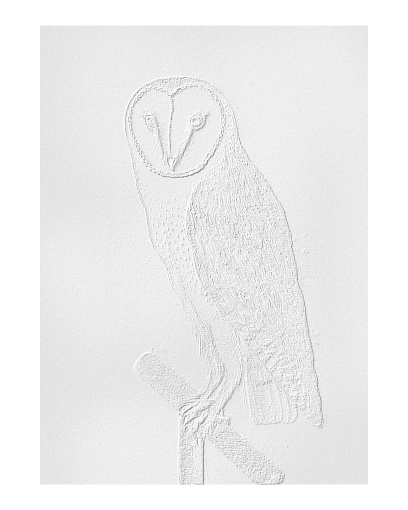 浮雕谷仓猫头鹰老式插画墙艺术印刷和海报设计混合从原来的艺术品