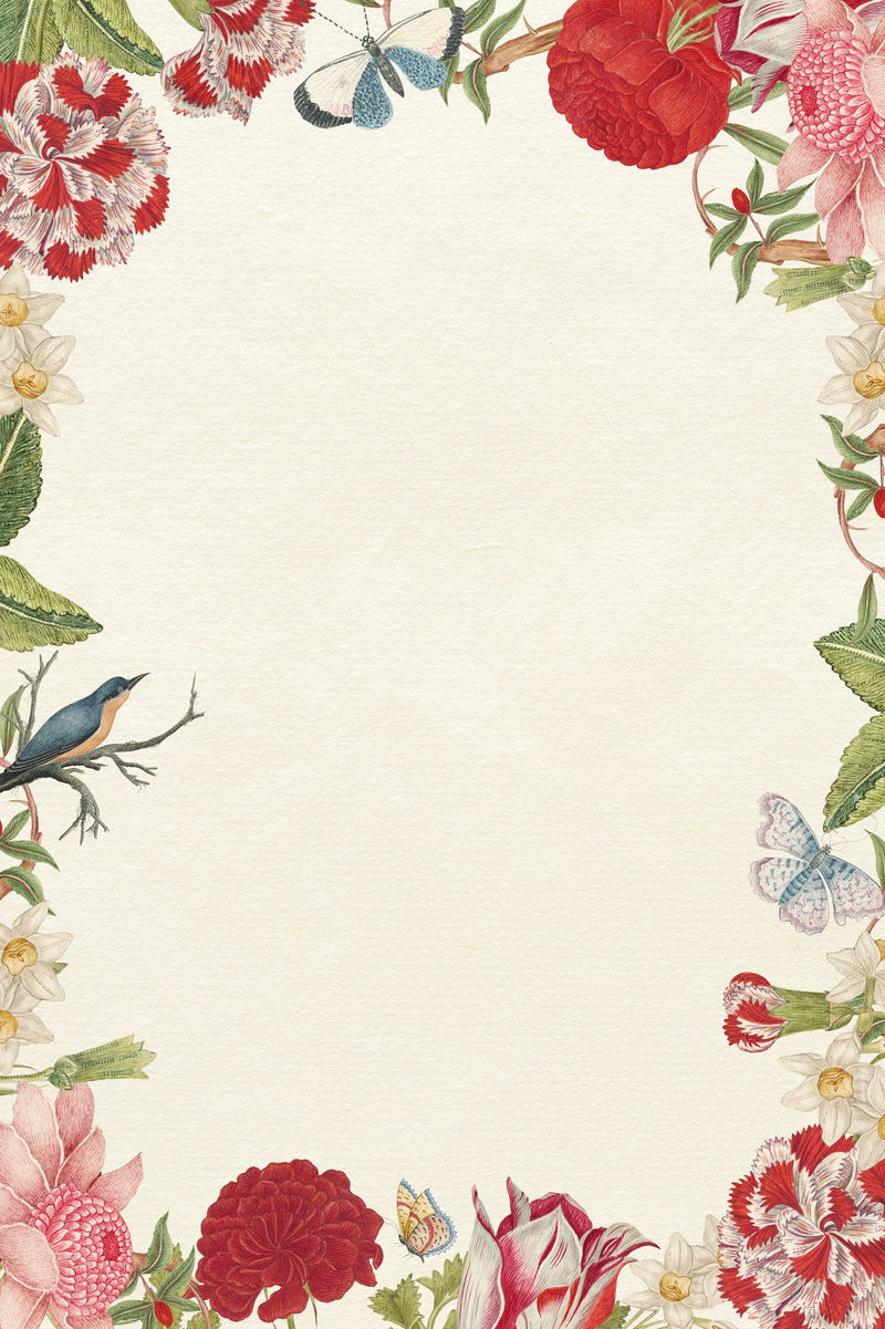 复古psd植物框架从18世纪的史密森档案馆的艺术品混合