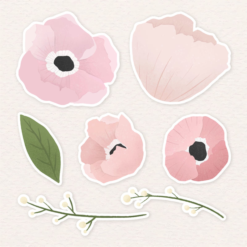浅粉色花朵贴纸套装插图素材-高清图片-摄影照片-寻图免费打包下载