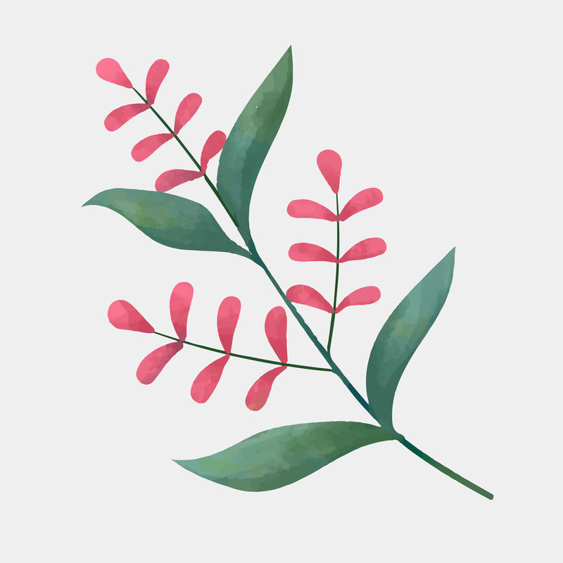 叶手绘矢量植物学插图