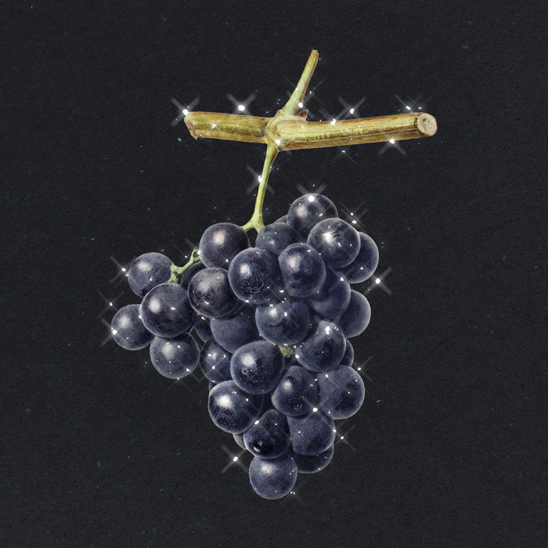 手绘起泡黑葡萄果品设计元素