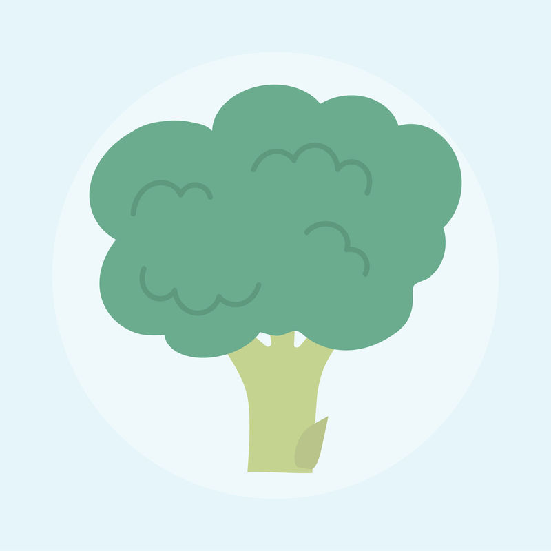 新鲜西兰花的插图