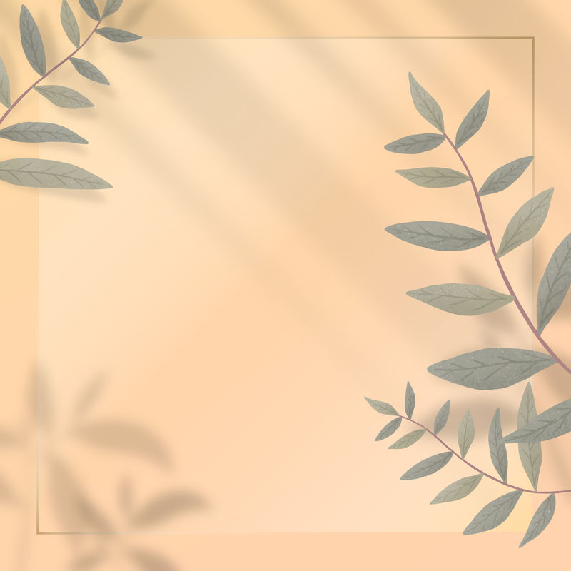 橙色阴影的树叶构成了美丽的背景