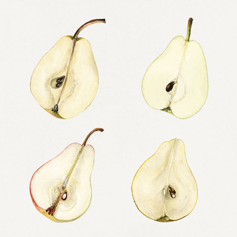 精致手绘鲜梨套装