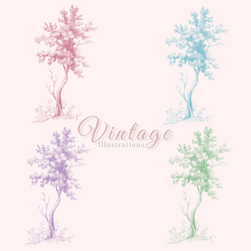 复古高大树木集插图