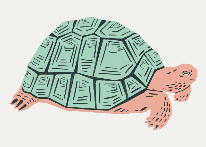 复古薄荷绿海龟矢量模具图案手绘