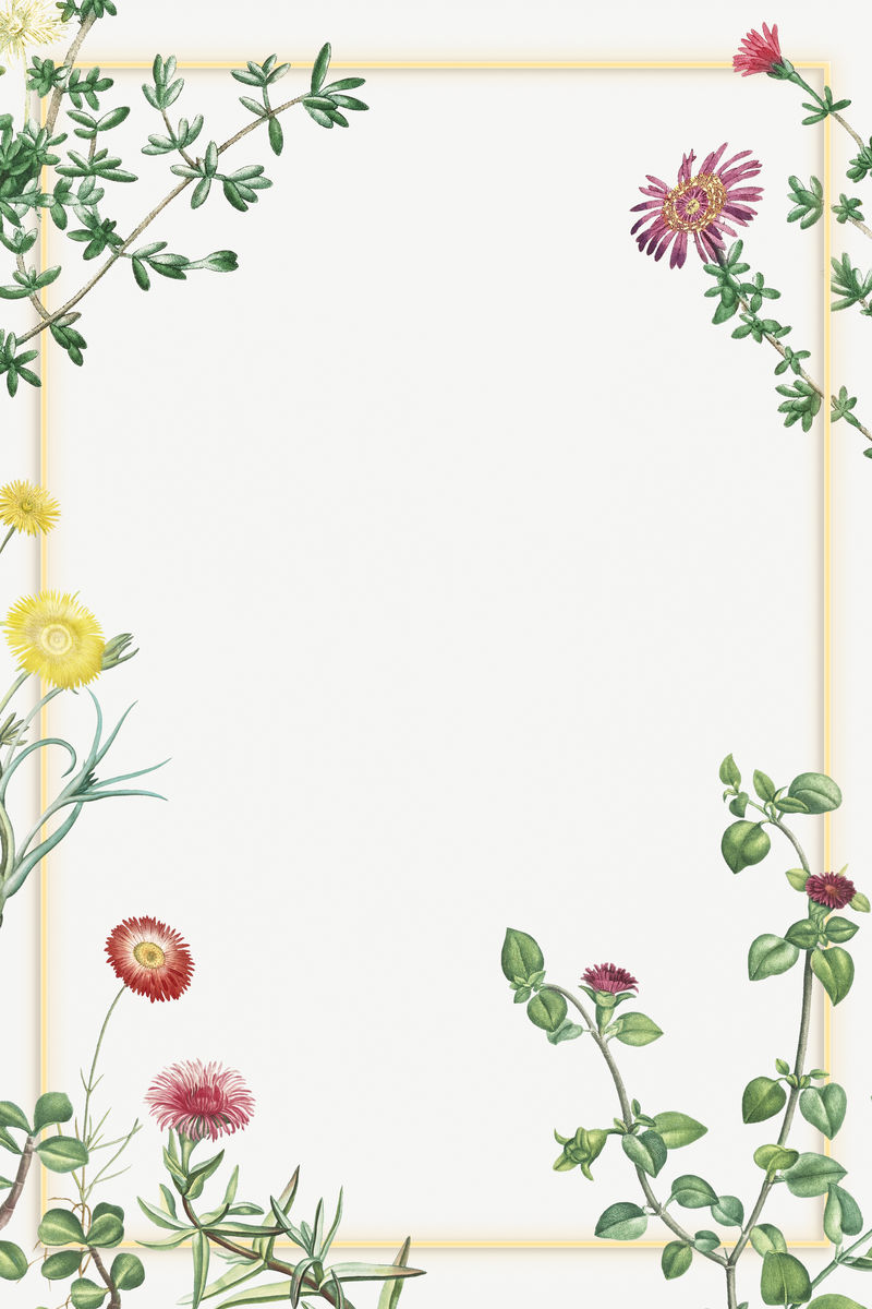 手绘仙人掌和多汁框架插图