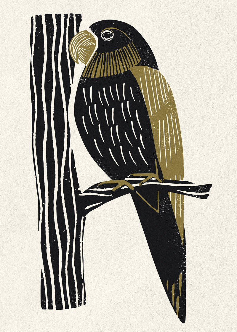 凤头鹦鹉复古模板图案