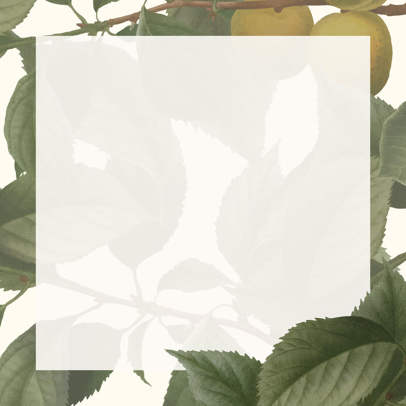 brian上的金色框架\u0026ccedil;杏色背景向量上