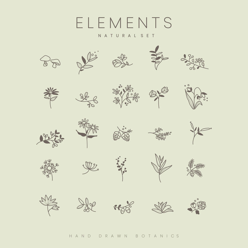 植物元素手绘集