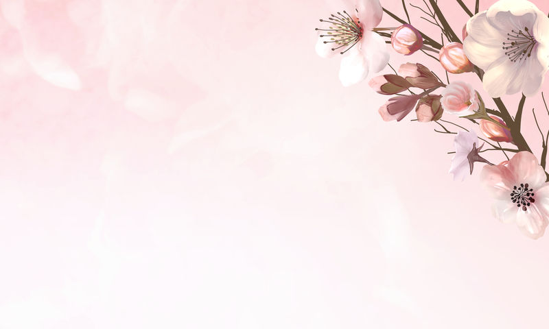 粉红色背景插图上的手绘樱花