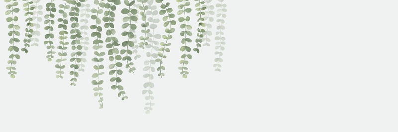 挂绿叶旗帜向量