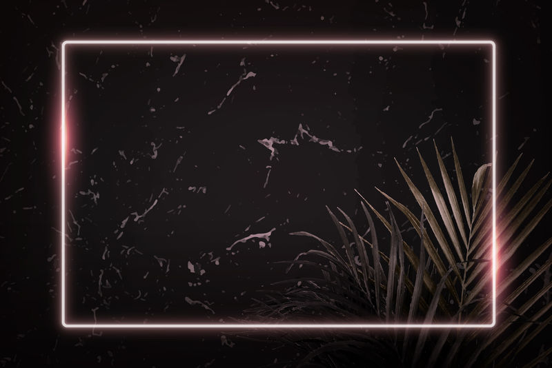 矩形粉红色霓虹灯框架热带树叶背景向量