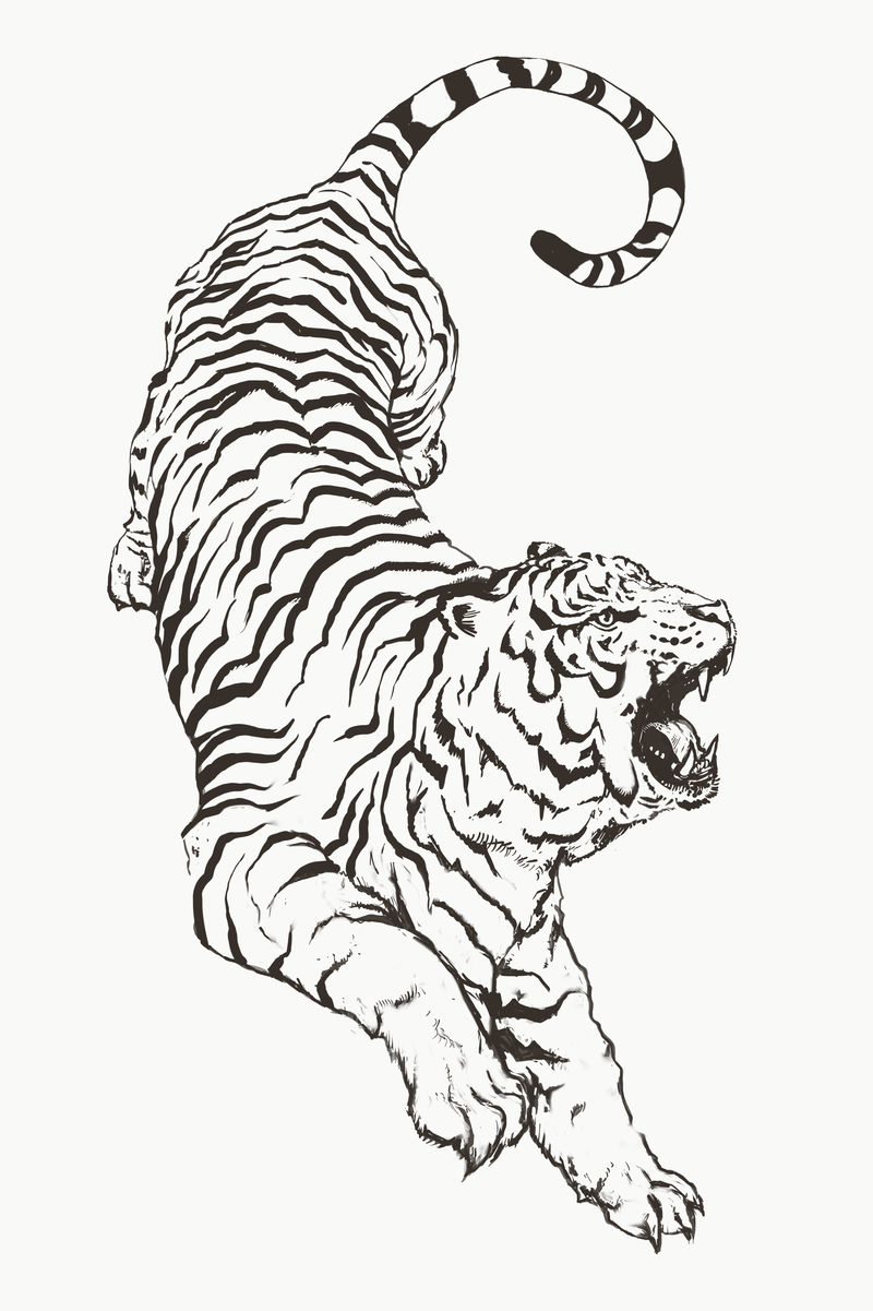 灰白色背景上的手绘咆哮虎插图