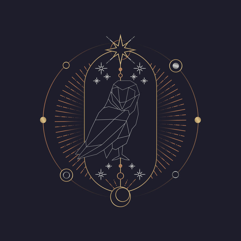 几何猫头鹰神秘符号向量