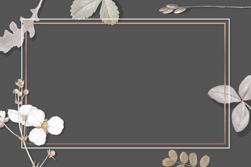 带牛舌箭头向量的帧