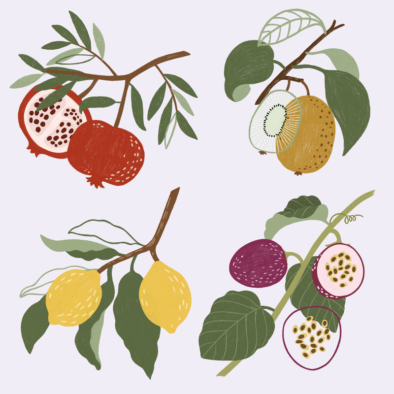 手绘水果设计资源包模型