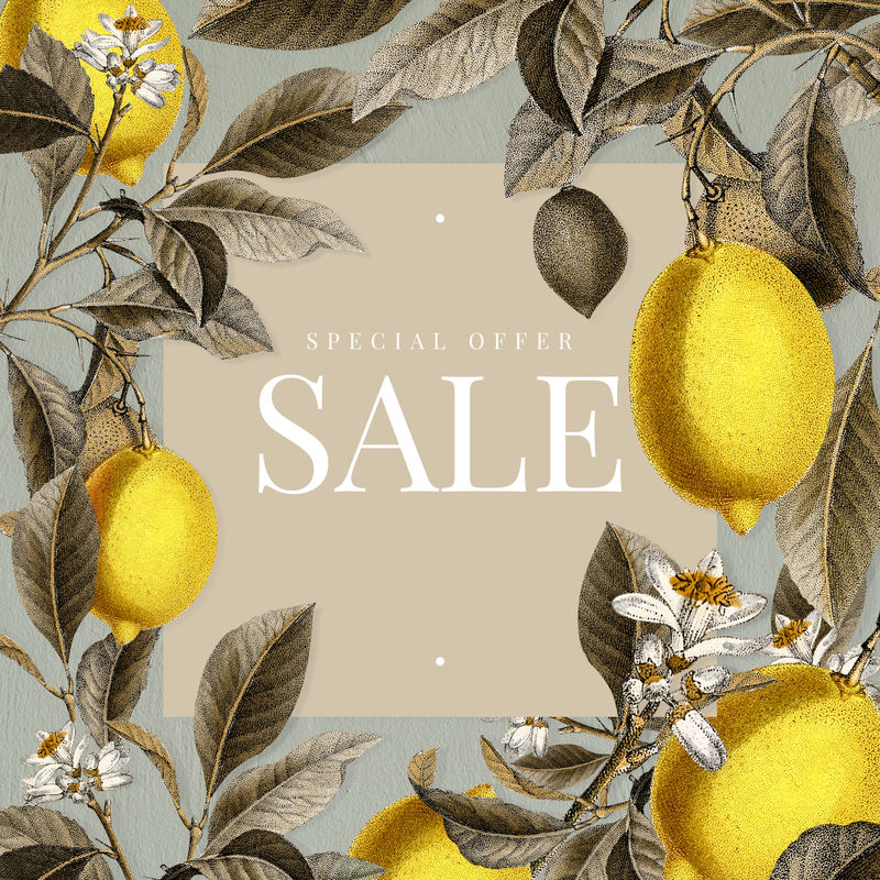 带柠檬矢量的热带销售标志