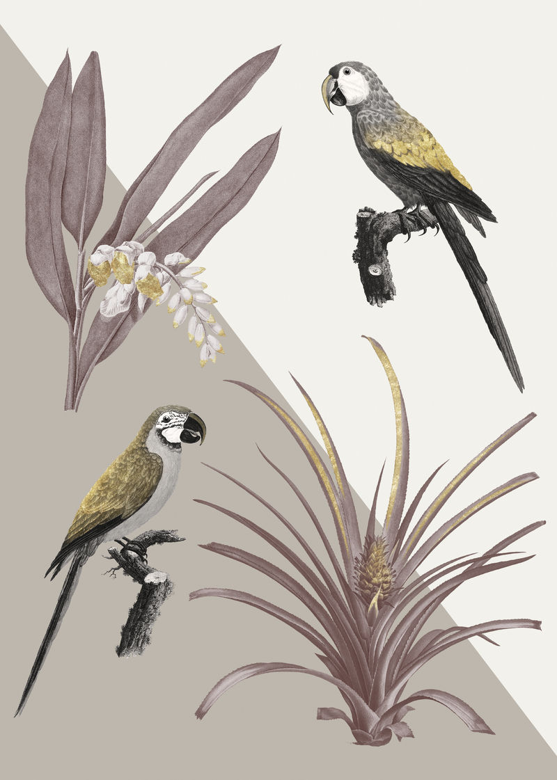 彩色热带系列复古插图