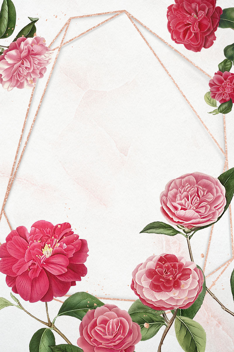 红色和粉色山茶花图案空白框架模型