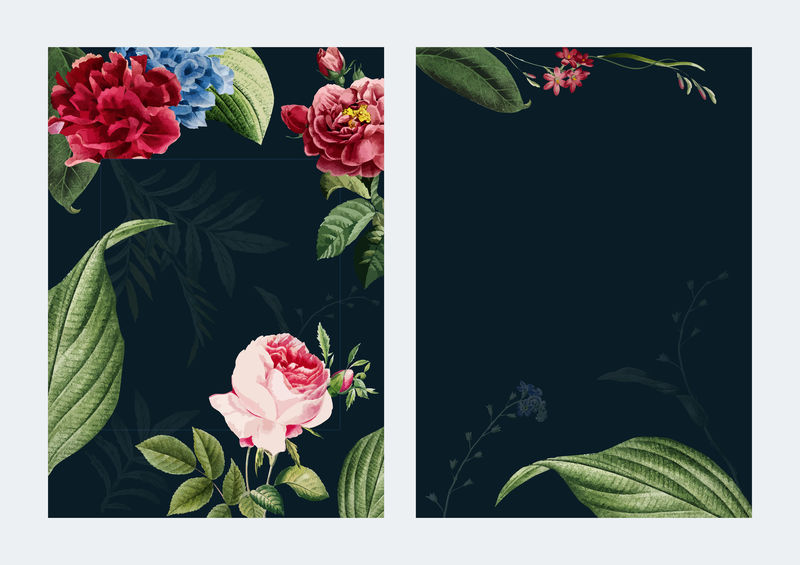 总是盛开的花朵框架插图