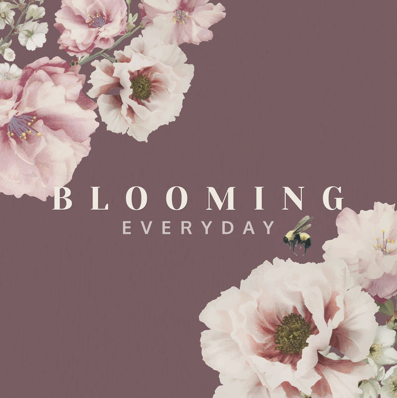 绽放每日卡片设计向量