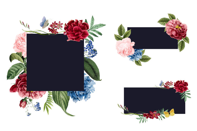 花卉框架插图集