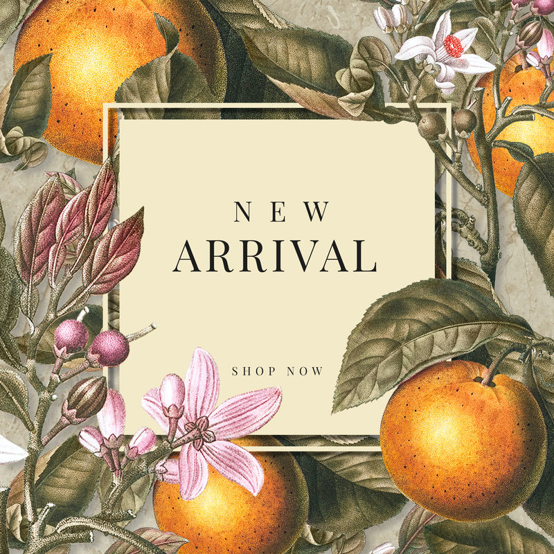 夏季新到标志向量