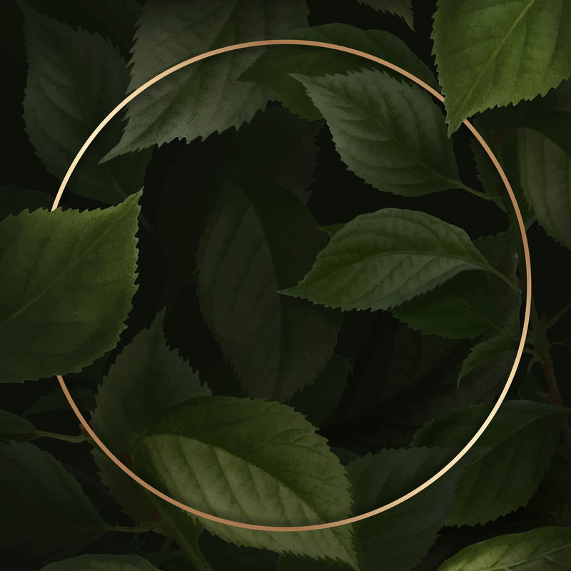 brian上的金色框架\u0026ccedil;杏色背景向量上