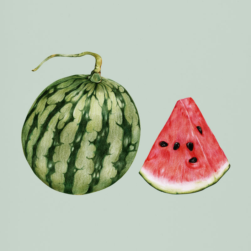 图片 创意图片 吃西瓜的性感美女