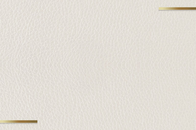 米色皮革背景向量上的金色框架