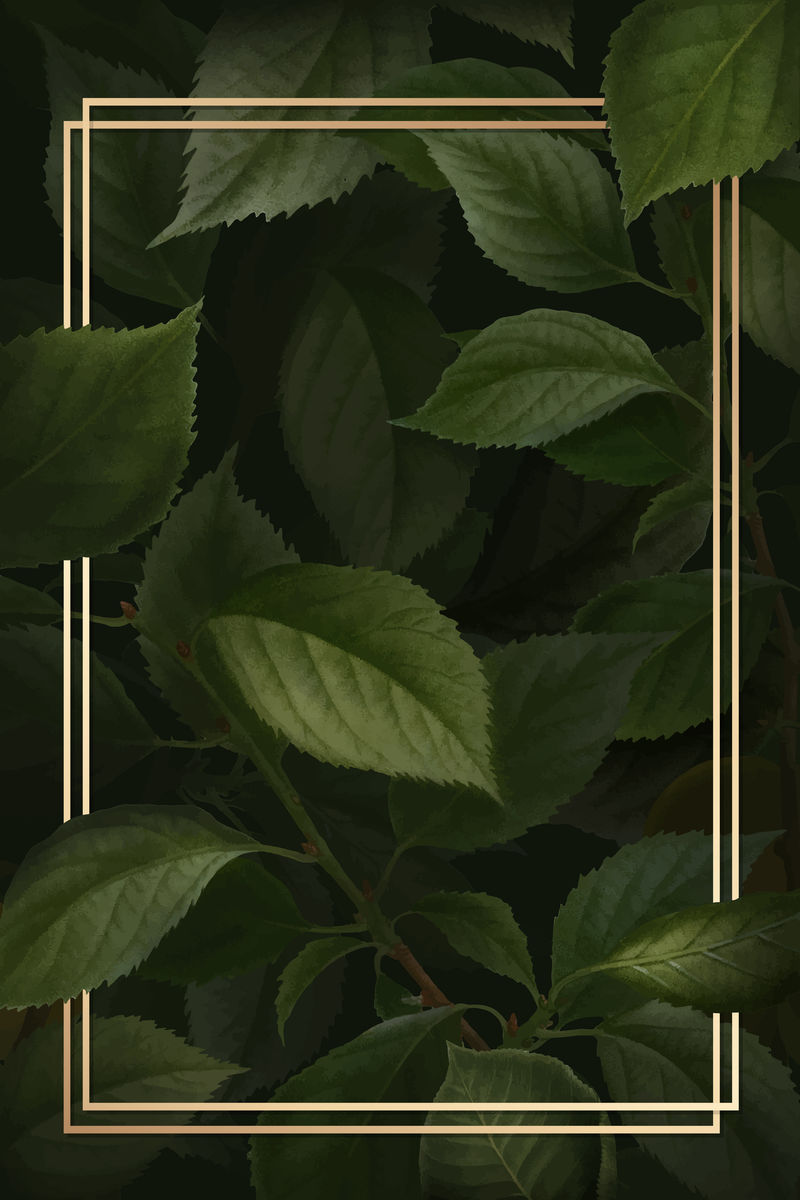 brian上的金色框架\u0026ccedil;杏色背景向量上