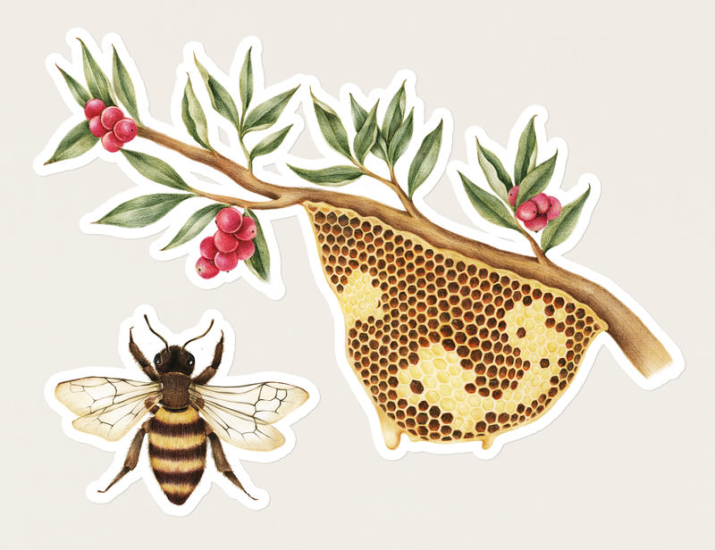 白色边框手绘蜂巢贴纸