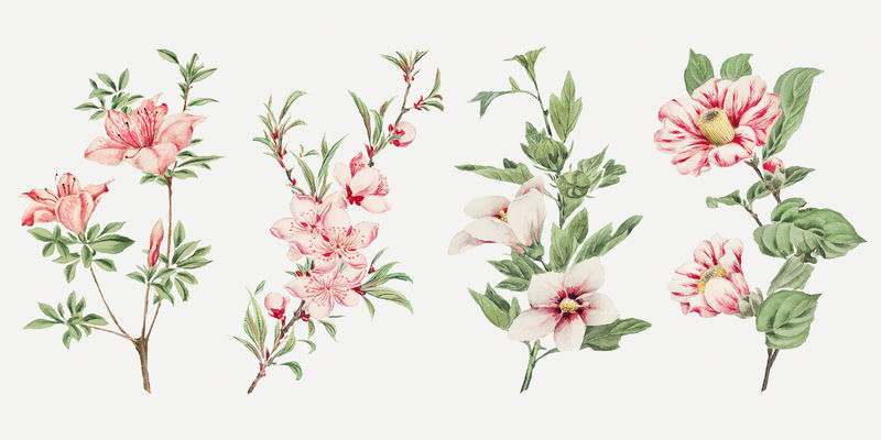 复古日本粉花psd艺术印刷套装混音自Megata Morikaga的艺术作品