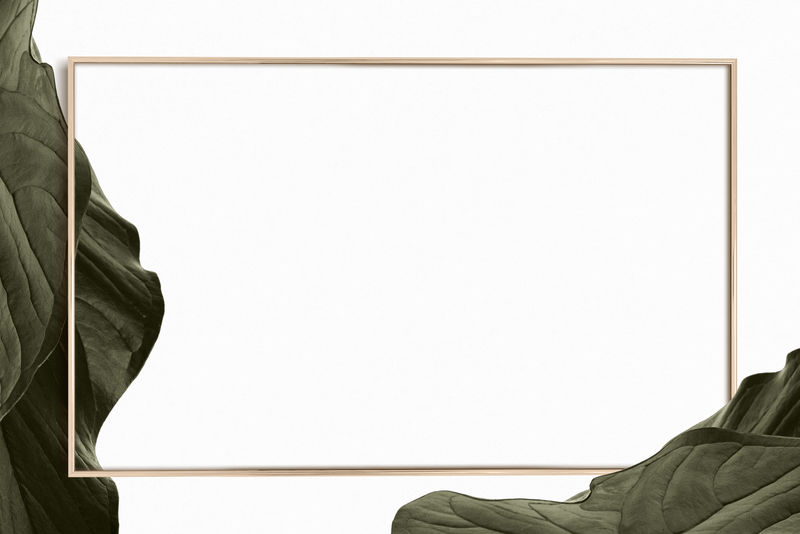绿叶背景金框psd