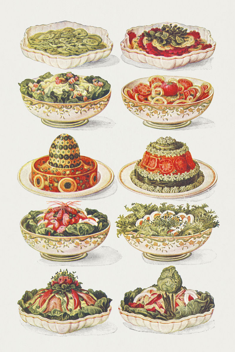 黄瓜沙拉甜菜根和番茄沙拉的复古沙拉插图Mac\u0026eacute；多因沙拉番茄沙拉俄罗斯沙拉意大利沙拉对虾沙拉鸡蛋沙拉龙虾沙拉和沙拉大仲马