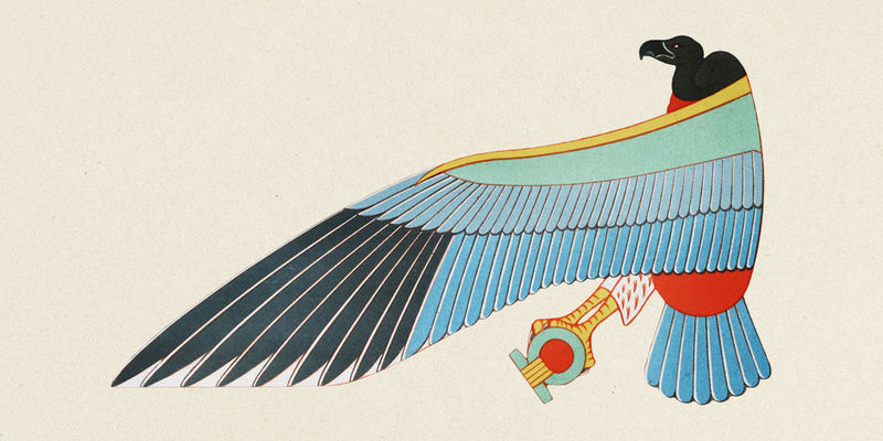 古埃及Nekhbet psd元素插图