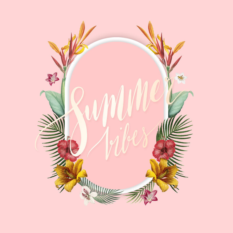 粉红色背景上的热带椭圆形框架