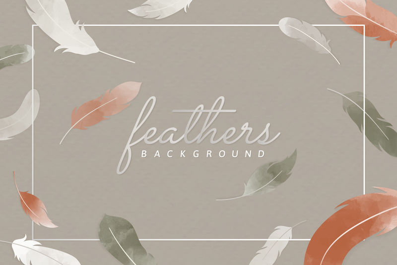 美丽的羽毛帧背景向量