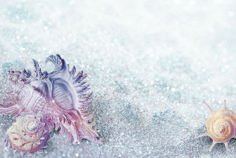 复古彩色贝壳设计资源