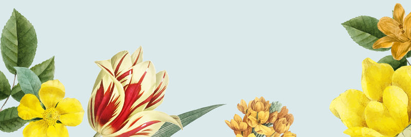 黄色春花装饰横幅设计元素