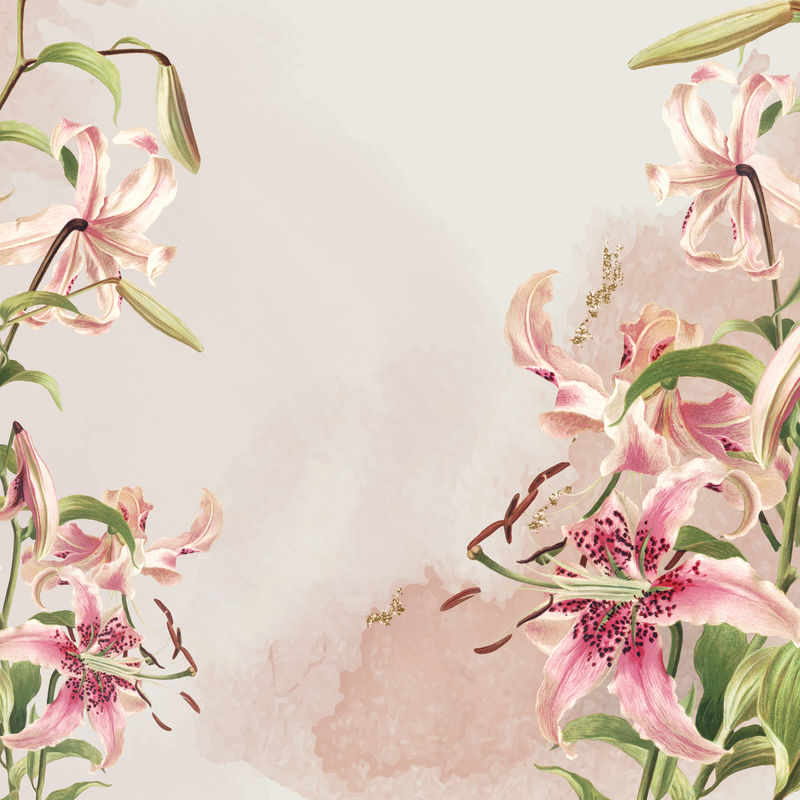 复古粉红百合花psd背景由L