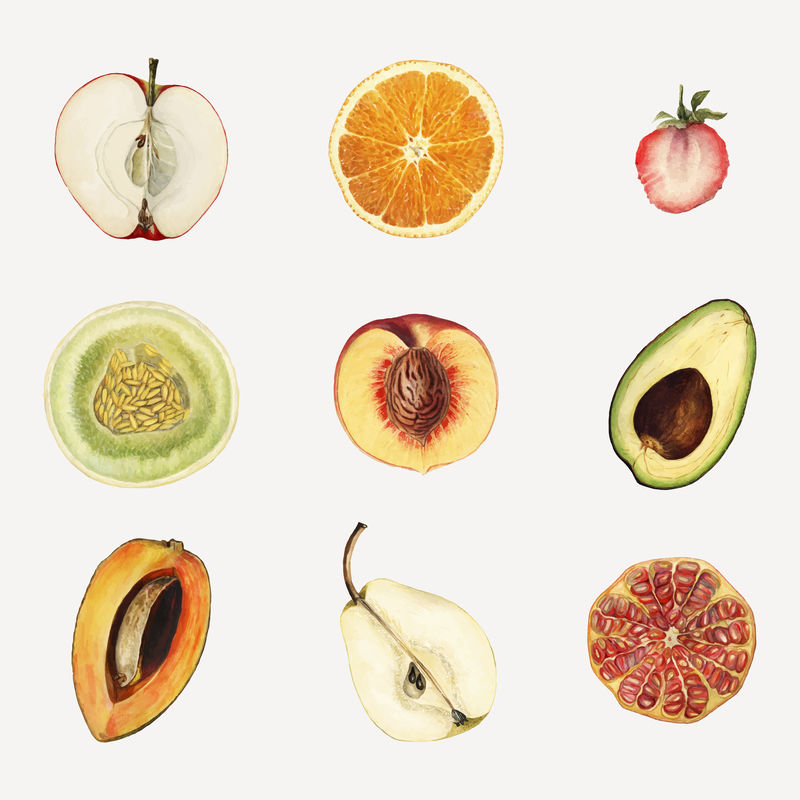 手绘热带水果集矢量