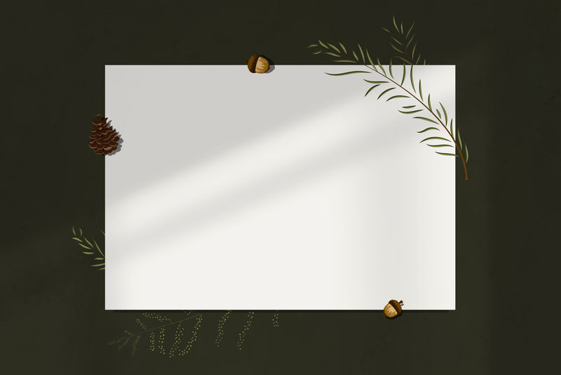 空白矩形帧向量