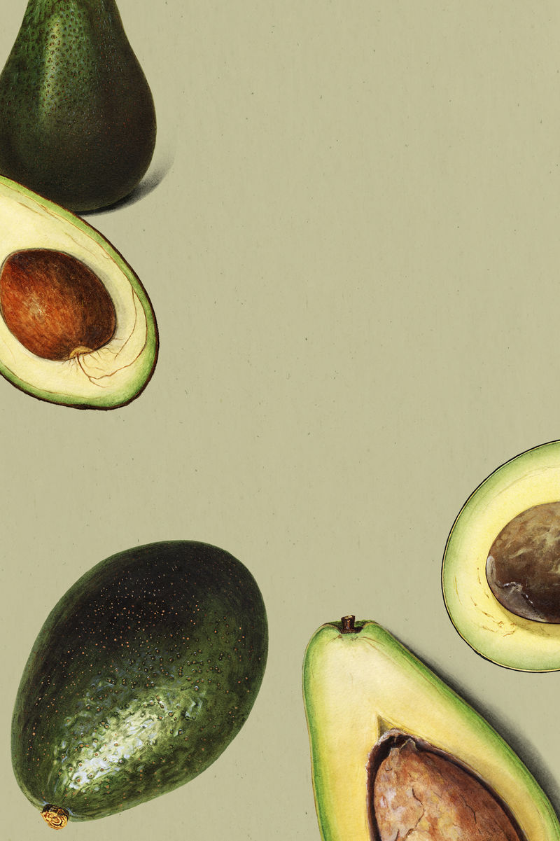 手绘成熟鳄梨框带复印空间