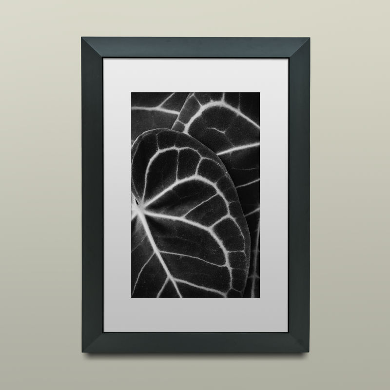 绿色相框模型插图