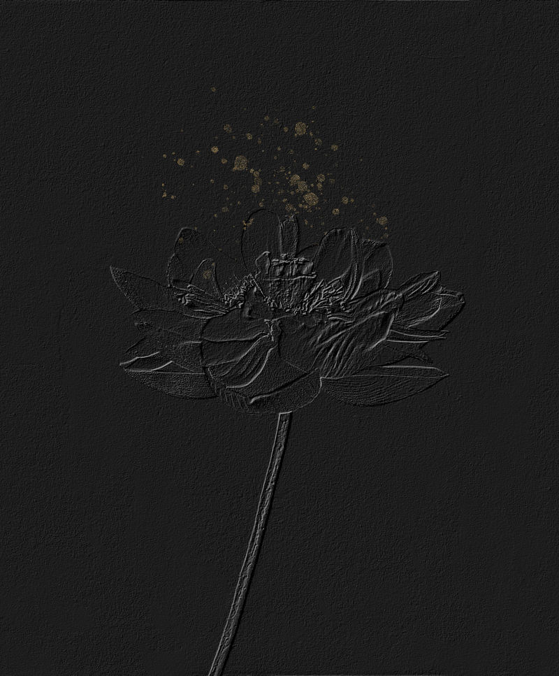 荷花艺术设计由小川和正的原始摄影混合